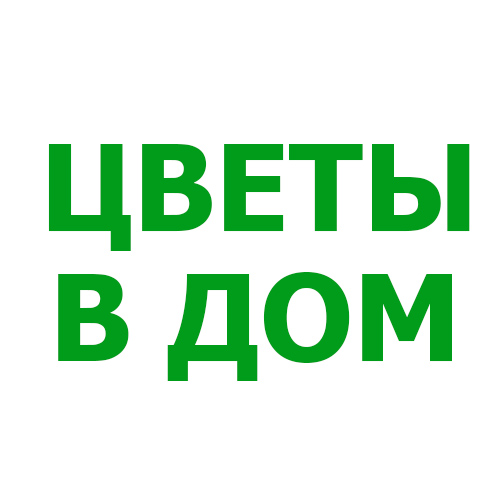 Цветы в дом